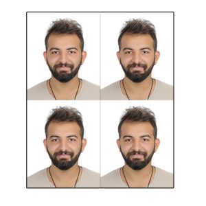4 Adet 5x6 Cm Biometrik Fotoğraf